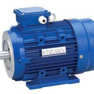 elektromotor 1,5kw MS100L-6